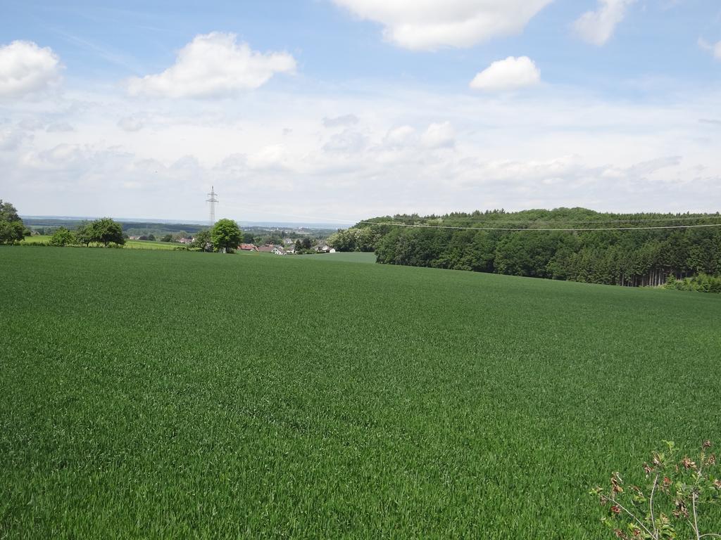 Apartment Ebersbach Günzburg